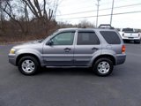 Used 2007 Ford Escape XLT image 3