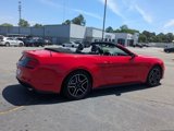 Used 2023 Ford Mustang Premium image 4