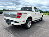 Used 2009 Ford F150 Platinum image 5