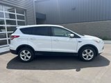 Used 2014 Ford Escape SE image 4