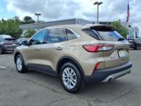 Certified 2020 Ford Escape SE image 5