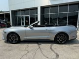 Used 2020 Ford Mustang Premium image 4