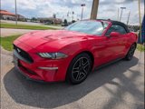 Certified 2022 Ford Mustang Premium image 4