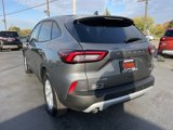 New 2025 Ford Escape Active w/ Active Premium Tech Pack image 5