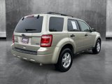 Used 2010 Ford Escape XLT image 5