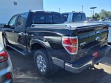 Used 2014 Ford F150 Lariat w/ Equipment Group 502A Luxury image 3
