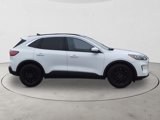 Used 2020 Ford Escape SE image 4