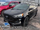 Used 2019 Ford Edge ST w/ Equipment Group 401A image 4