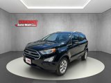 Used 2020 Ford EcoSport SE image 3