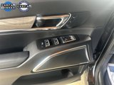 Used 2021 Kia Telluride SX image 5