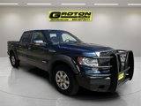 Used 2014 Ford F150 Lariat w/ Lariat Chrome Package image 4