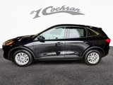 Used 2022 Ford Escape SE w/ Cold Weather Package image 4