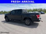 Used 2016 Ford F150 XLT w/ Equipment Group 302A Luxury image 5