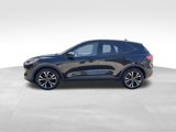 Certified 2022 Ford Escape SE w/ SE Sport Appearance Package image 3