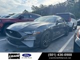 Used 2019 Ford Mustang Coupe w/ Equipment Group 101A image 3