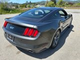 Used 2016 Ford Mustang GT w/ Enhanced Security Package image 3