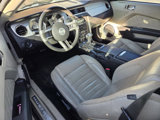Used 2011 Ford Mustang Premium w/ 201A Rapid Spec Order Code image 5