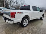 Used 2016 Ford F150 Platinum w/ Equipment Group 701A Luxury image 5