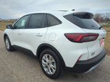 New 2025 Ford Escape Active w/ Cold Weather Package image 5