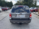 Used 2011 Ford Escape XLT w/ Convenience Group image 4