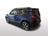 Used 2019 Jeep Renegade Trailhawk image 3