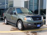 Used 2004 Ford Expedition XLT image 5