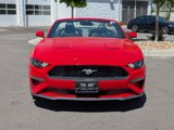 Used 2022 Ford Mustang Premium image 3