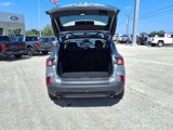 Used 2021 Ford Escape SE w/ SE Sport Appearance Package image 6