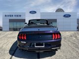 Used 2022 Ford Mustang Premium w/ Equipment Group 201A image 5
