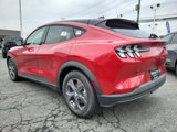 New 2023 Ford Mustang Mach-E Select w/ Comfort Package Lite image 5