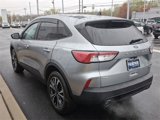 Certified 2022 Ford Escape SE w/ SE Sport Appearance Package image 5