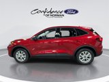 New 2025 Ford Escape Active image 6