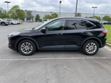 Used 2021 Ford Escape SE image 4