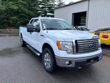 Used 2012 Ford F150 XLT w/ XLT Chrome Pkg image 3