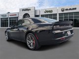 New 2025 Dodge Charger R/T Scat Pack w/ Track Pack image 6