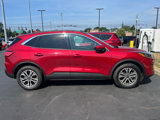 Used 2020 Ford Escape SEL image 2