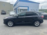 Used 2020 Ford Escape SE image 2