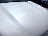 Used 2019 Ford Taurus Limited image 5