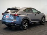Used 2020 Lexus NX 300h AWD w/ Premium Package image 6