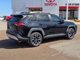 Used 2019 Toyota RAV4 Adventure image 3