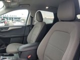 Used 2022 Ford Escape SE w/ Convenience Package image 5