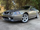 Used 2001 Ford Mustang Cobra image 2