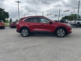 Used 2022 Ford Escape SEL w/ Technology Package image 5