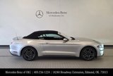 Used 2019 Ford Mustang Premium image 5