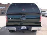 Used 2014 Ford F150 XLT w/ Equipment Group 302A Luxury image 4
