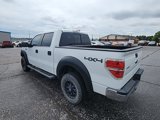 Used 2013 Ford F150 XLT w/ XLT Convenience Pkg image 5