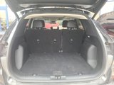 Used 2020 Ford Escape Titanium image 4