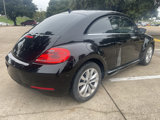 Used 2013 Volkswagen Beetle TDI image 5