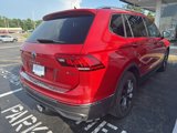 Used 2023 Volkswagen Tiguan SE image 5