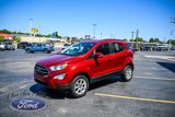 Used 2022 Ford EcoSport SE w/ SE Convenience Package image 3
